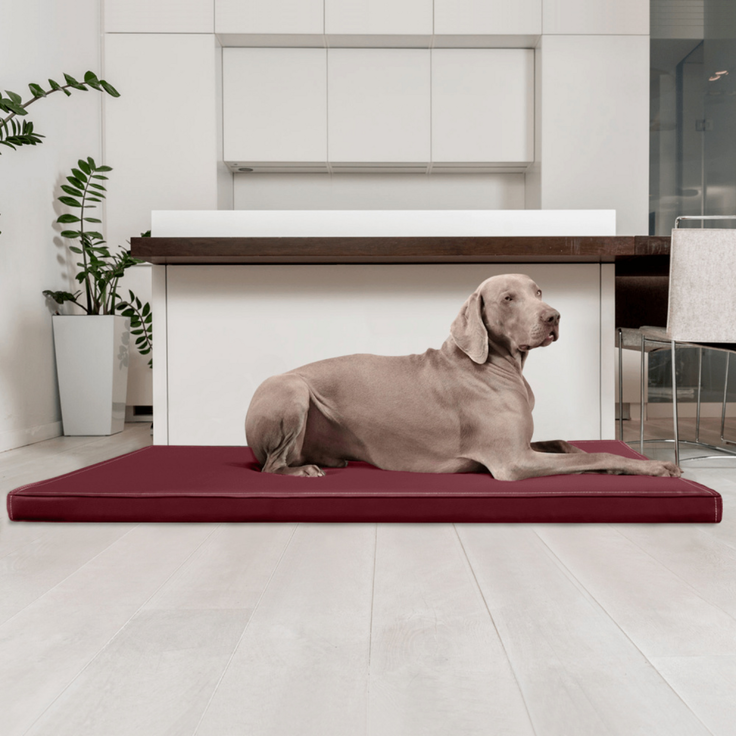 CARLOS Orthopädische Hundematratze Hundematte - 04 Dunkelrot, 100x80cm – Bild 4