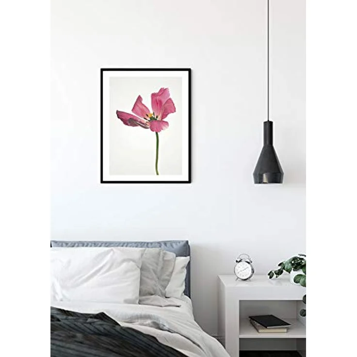 Komar Wandbild Tulip Kunstdruck, Hochwertiges Poster 30 x 40 cm, Seidenmatter Fotodruck ohne Rahmen, Premium-Qualität, Made in Germany – Bild 3