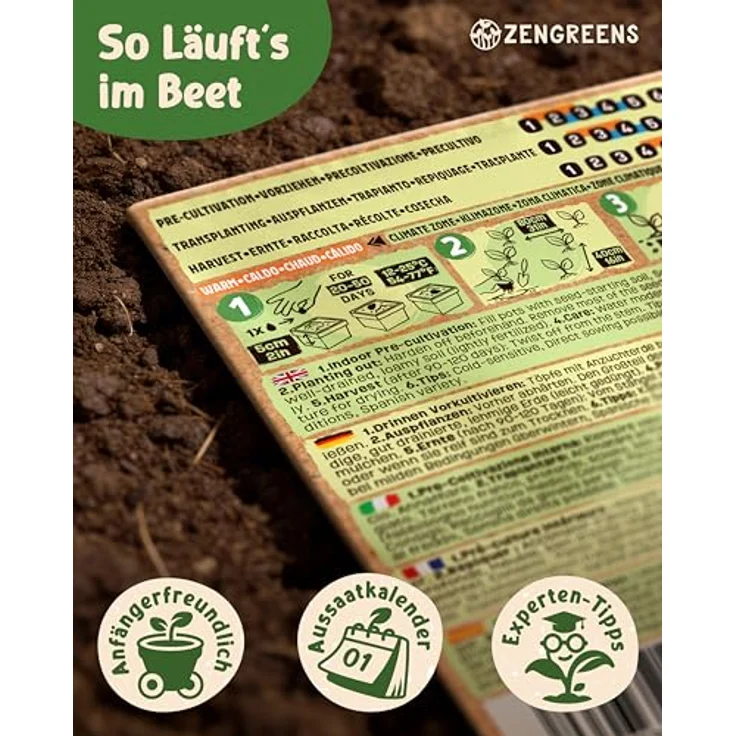 ZenGreens® - Bio Bohnensamen im 6er Set - 6 Bohnen Samen für den einfachen Anbau im Garten, Balkon oder Hochbeet - Pflanzensamen - Saatgut – Bild 7