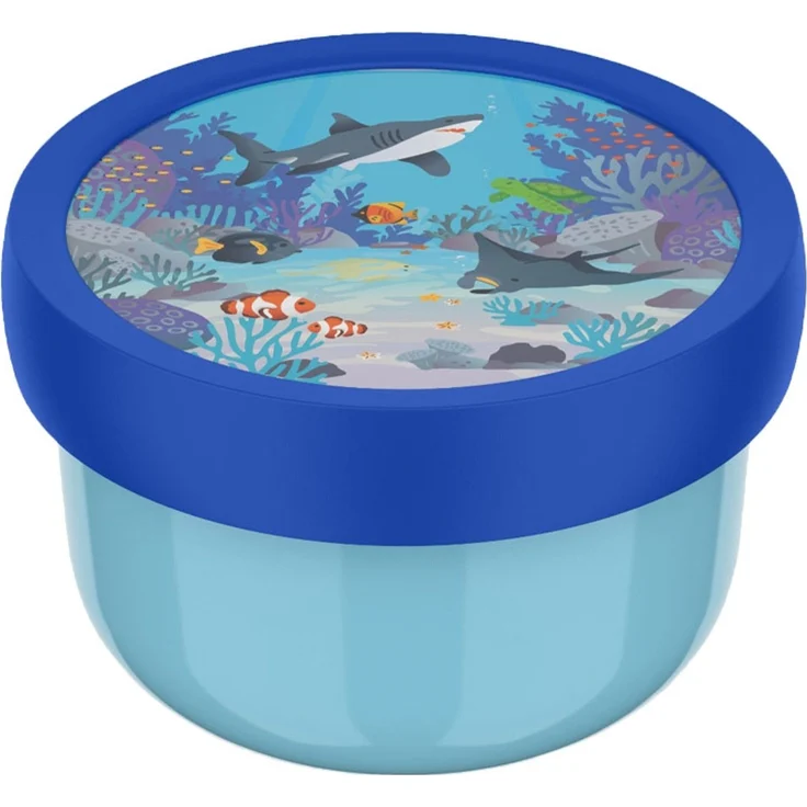 Mepal CAMPUS Fruchtbox 300 ml Tropical Ocean (2025) – Bild 1