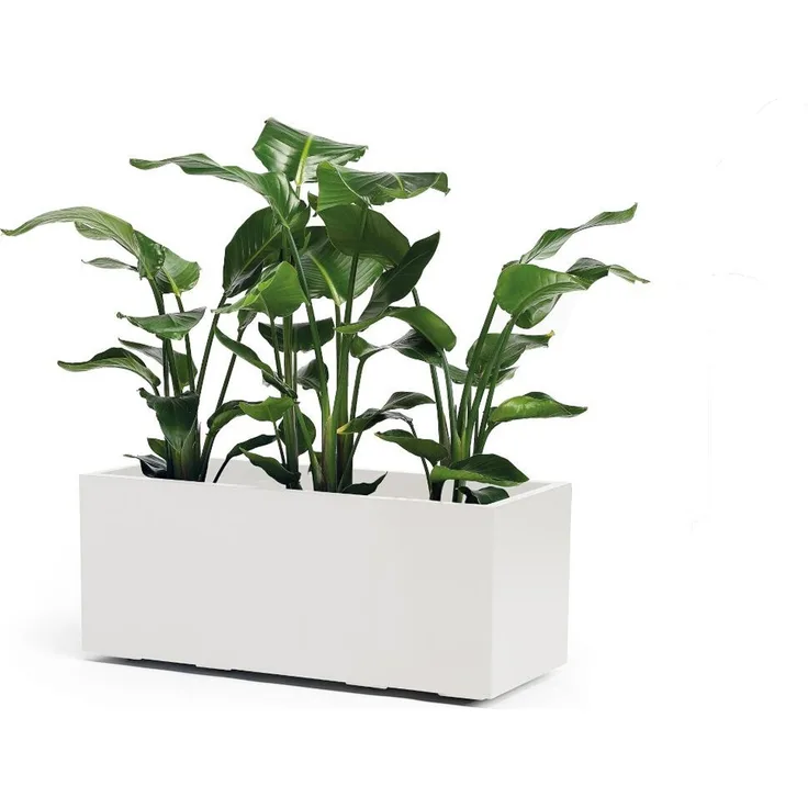 Pflanzkasten GREENER KEBE 100 cm weiß – doppelwandiger Pflanzkasten mit Wasserreservoir und Rollen UV- und temperaturbeständig nachhaltig recycelbar
