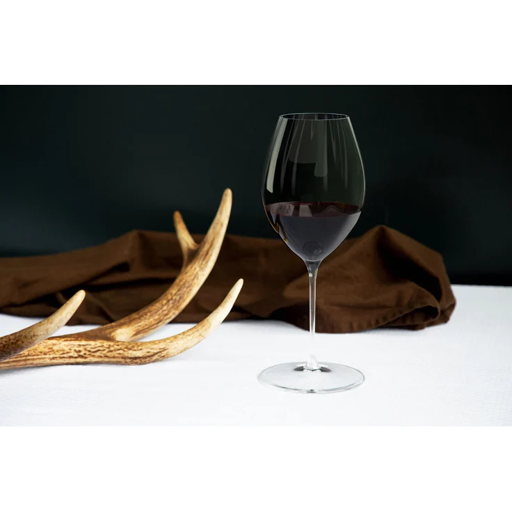 Riedel PERFORMANCE Syrah Shiraz Glas 2er Set + Poliertuch – Bild 4