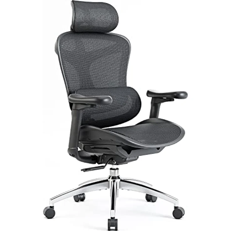 SIHOO Doro C300 Ergonomischer Bürostuhl mit ultraweichen 3D-Armlehnen, dynamischer Lordosenstütze, Verstellbarer Rückenlehne (Schwarz) – Bild 12