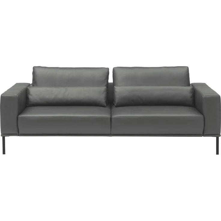 Musterring 2,5-Sitzer JustB!PM100, 202 cm breit, aus hochwertigem Leder, wahlweise mit Nierenkissen und mot. Sitzauszug, Metallfuß in schwarz – Bild 1