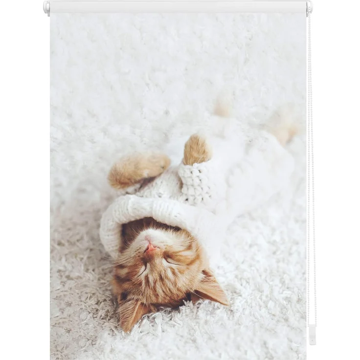 Seitenzugrollo Klemmfix Digital Sleepy Cat, LICHTBLICK ORIGINAL, verdunkelnd, ohne Bohren, freihängend, Klemmfix, bedruckt – Bild 1