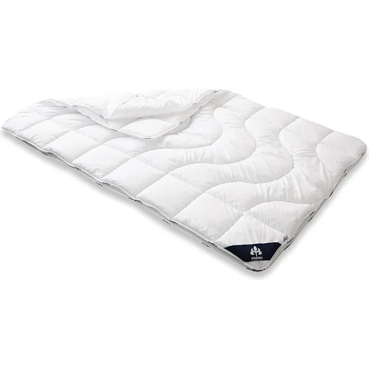 Badenia Bettcomfort Irisette Micro Thermo 4-Jahreszeiten Steppbett mit Druckknöpfen für alle Jahreszeiten, 155x220 cm