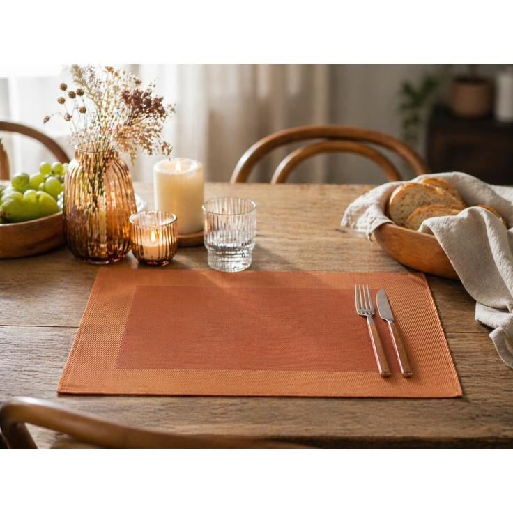 Platzdeckchen Tischset orange 32,5x45 cm PVC Polyester abwaschbar Platzmatte Tischunterlage moderne Tischmatte für Küche und Esszimmer