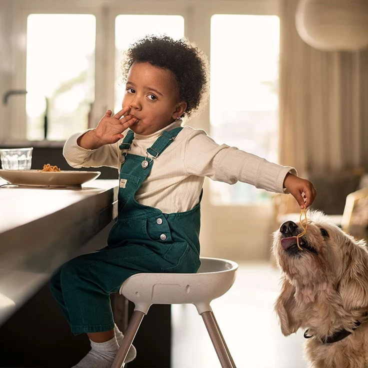 Maxi-Cosi 'Moa' Hochstuhl, beyond graphite – Bild 8