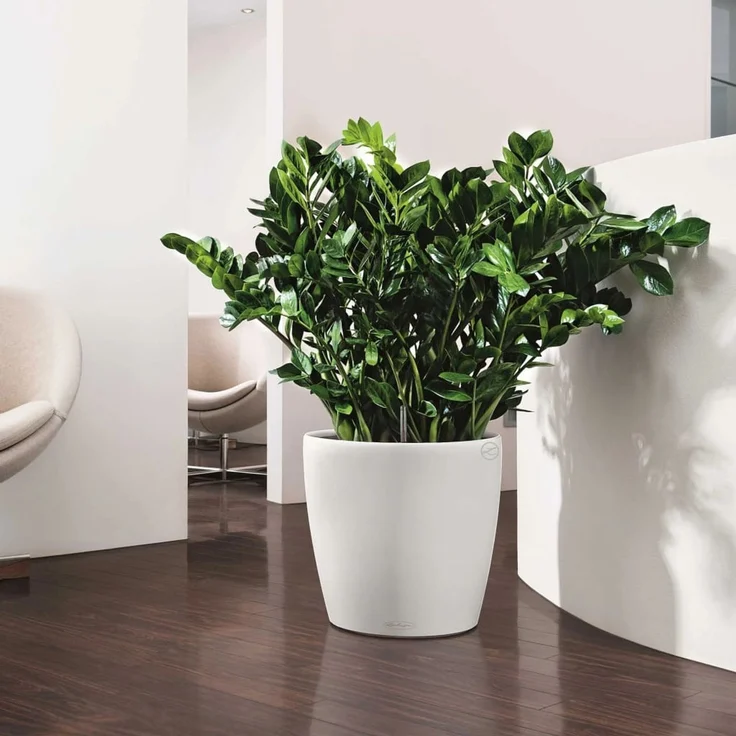 LECHUZA Blumentopf Classico Color 28 Komplett-Set Hochglanz Weiß 13190 421430 – Bild 6
