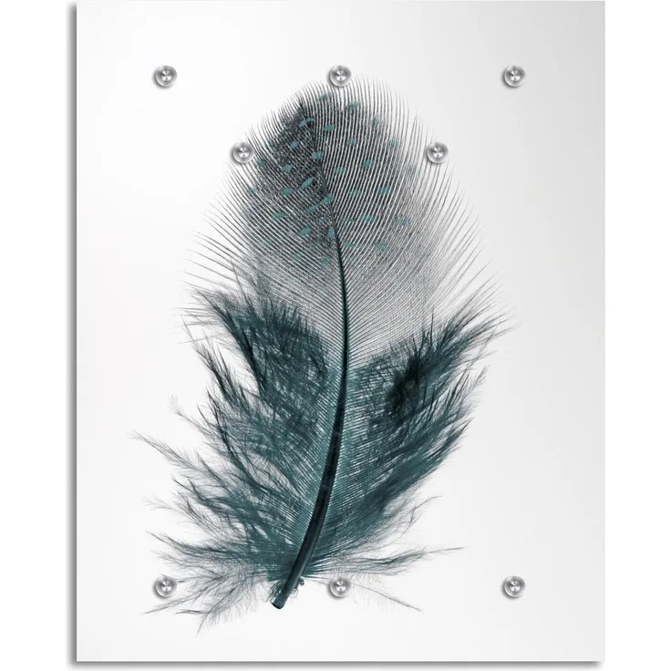 Queence Garderobe - "Black Feather" Druck auf hochwertigem Arcylglas inkl. Edelstahlhaken und Aufhängung, Format: 100x120cm