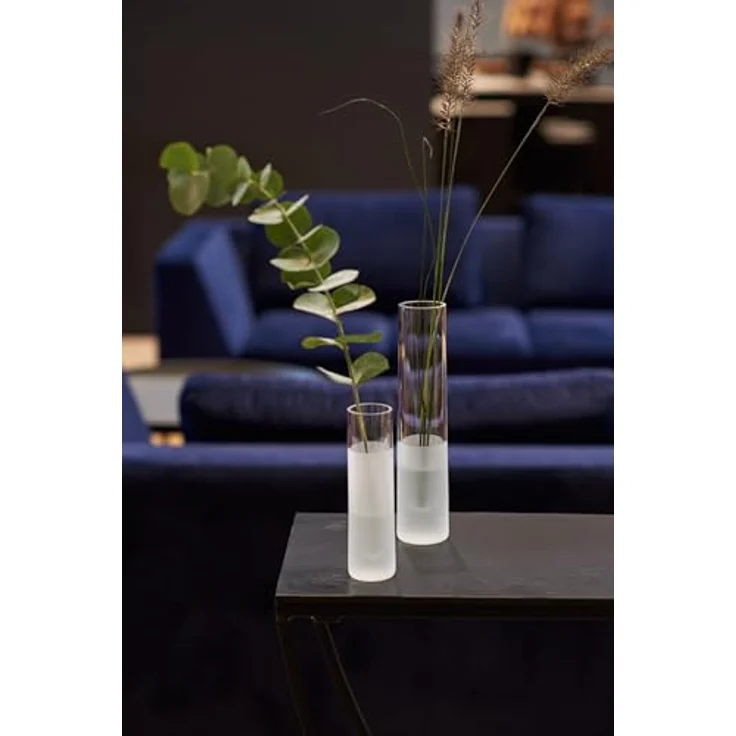 LEONARDO HOME Novara Deko-Vase, schmale zylinderförmige Solifleurvase aus satiniertem Glas, Höhe 24 cm, Durchmesser 5,2 cm, Volumen 270 ml – Bild 5