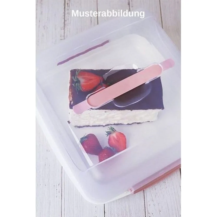 Engelland Kuchentransportbox Kleine Kuchenbox mit transparentem Deckel, Kunststoff, (Vorteils-Set, 2-tlg, sicheres Transportieren), mit Tragegriff und Klickverschluss, BPA-frei, rechteckig, Kunststoff – Bild 2