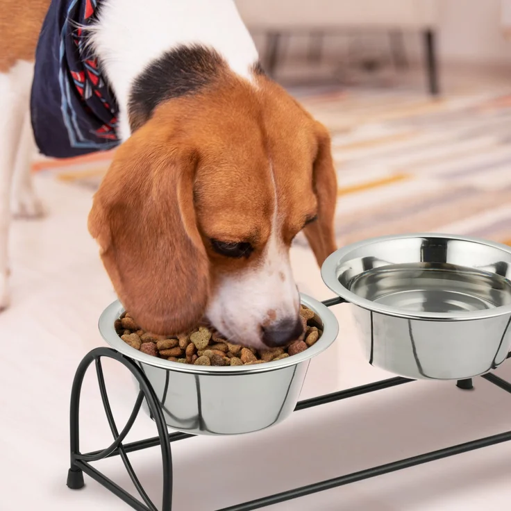 Futterstation für Hunde – Bild 2