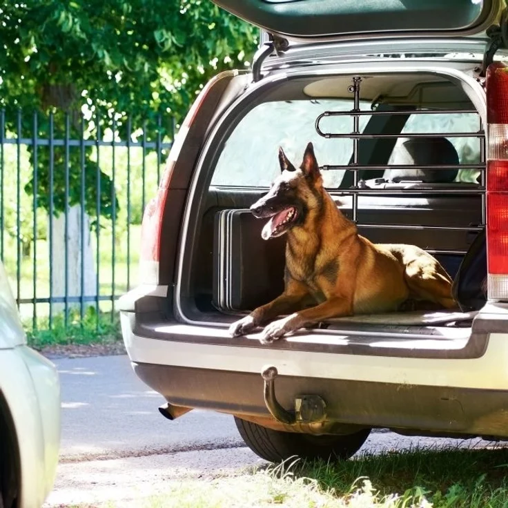 Hundegitter Auto – Bild 3