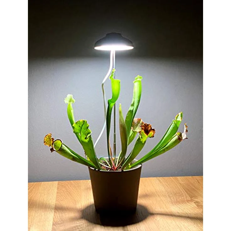 Northpoint Pflanzenlampe LED 7W 2er-Set Pflanzenlampe Pflanzenbeleuchtung 70cm – Bild 5
