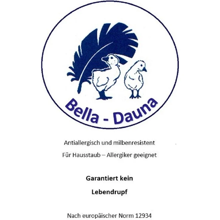Betten Hofmann Daunenkissen Kopfkissen 80x80 cm 450g Daunen Kissen 100% Daunen soft weich – Bild 5