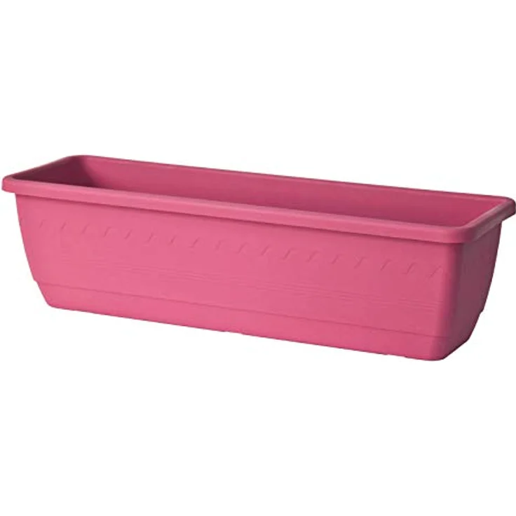 Kasten INIS 50cm cyclam – Bild 1