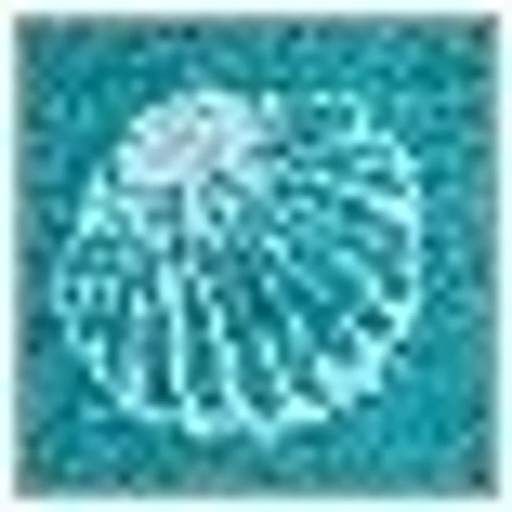 Dyckhoff Handtücher Seashell, Walkfrottee (2-St), mit Muschelmuster – Bild 2