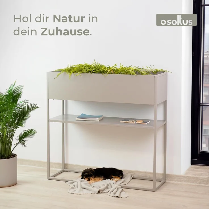 osoltus Pflanzkasten Raumteiler cube Warmgrey Grau Konsole 80 cm – Bild 4