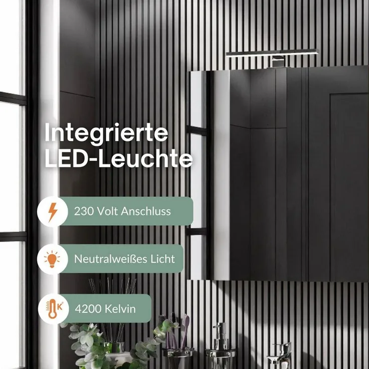 Planetmöbel Badezimmerspiegelschrank Spiegelschrank Merkur (Spiegelschrank Gäste WC 60x67x16 cm, Badschrank hängend mit Spiegel & LED-Leuchte schwarz) 60 cm breit, 2 Türen, 6 Fächer