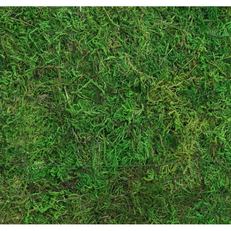 Dekoplatte "Moos" Dekoration dekorieren Deko Tischdeko Tisch Arrangement – Bild 3