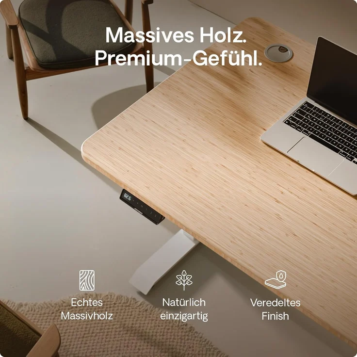 Desktronic Höhenverstellbarer Schreibtisch aus Bambus (120x60 cm) – Elektrisch höhenverstellbar mit flüsterleisem Dual-Motor & Touchscreen – Hohe Tragfähigkeit – Stehtisch HomePro – Bild 8