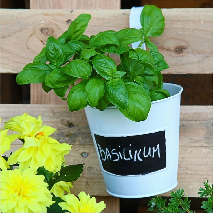 CEPEWA Übertopf Übertopf 6er Set, weiß Ø15cm H5cm, Kräutertopf zum Beschriften (6 St) – Bild 2
