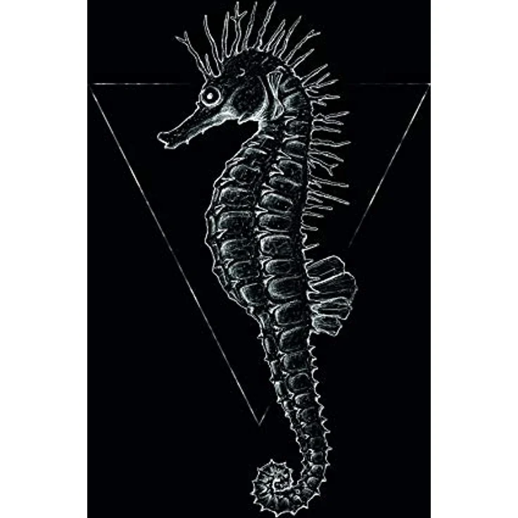 Komar Wandbild Sea Horse Black, Kunstdruck auf Premium-Poster Fotopapier, Größe 30 x 40 cm, ohne Rahmen, fotorealistische Druckqualität – Bild 1