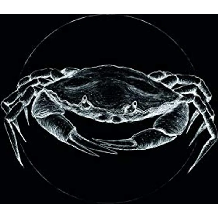 Komar Wandbild Crab Black, Poster 50 x 70 cm, fotorealistischer Kunstdruck ohne Rahmen, hochwertiger Druck auf deutschem Fotopapier, ideal für Wohnzimmer und Schlafzimmer
