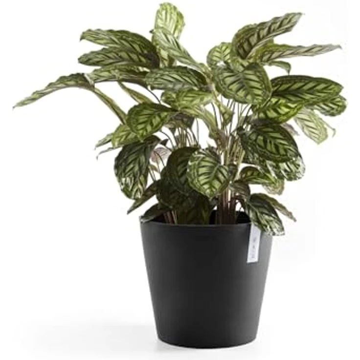 ECOPOTS Blumentopf Amsterdam, ØxH: 30x26,3 cm – Bild 5