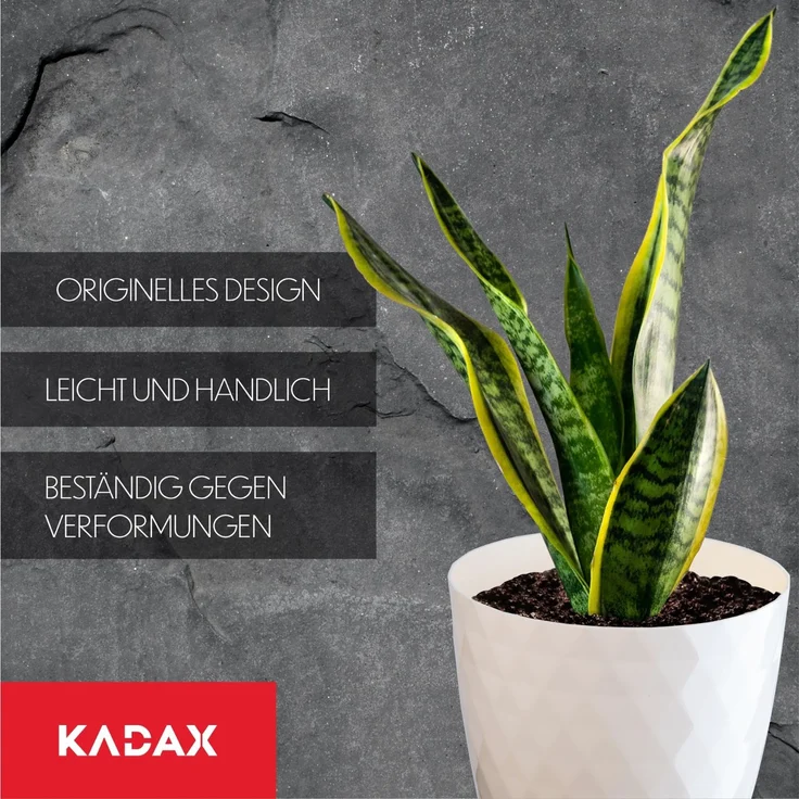 KADAX Blumentopf aus Kunststoff mit Ständer, Blumenabdeckung, 12 cm, Creme – Bild 6