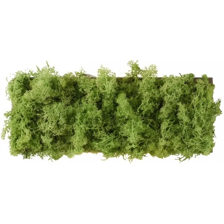 JUST LIGHT 15637-66 GREEN CARLO LED Wandleuchte moos eckig – Bild 4