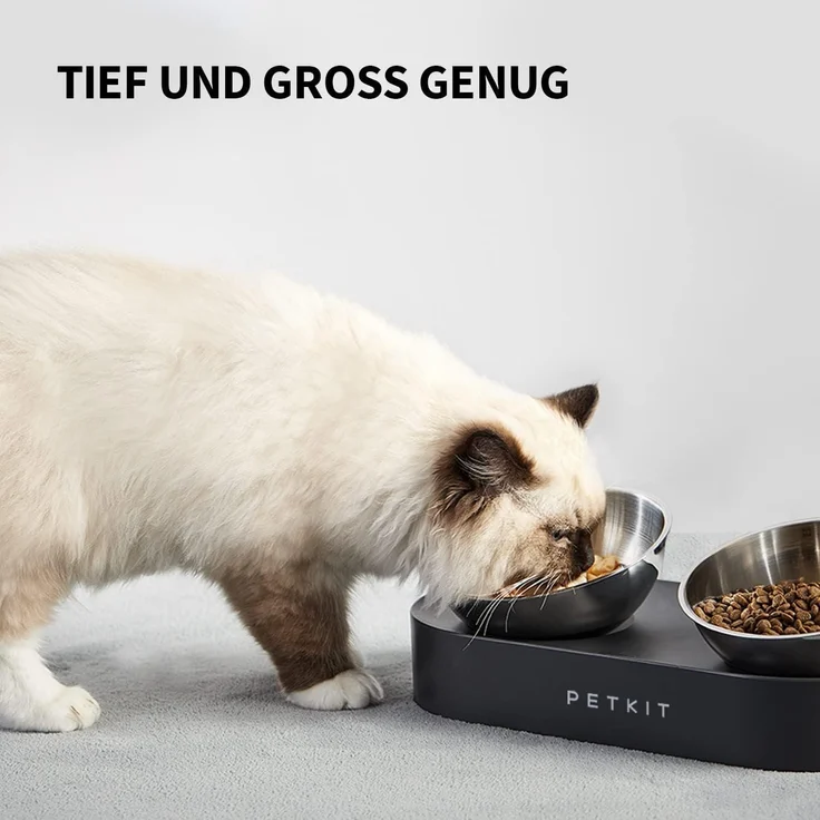 Erhöhte Schüssel aus Edelstahl für Katzen und kleine Hunde Futternapf – Bild 5