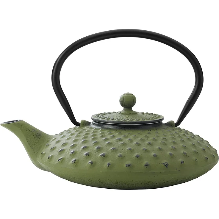 Bredemeijer Teekanne Asia Xilin Grün 0,8 l