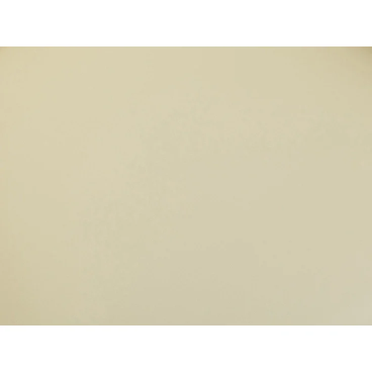 Vente-unique - JOVANA - Sessel mit gerader Rückenlehne - Plastik - Kunststoff (PVC) - Beige - 65 x 64 x 74 cm – Bild 8