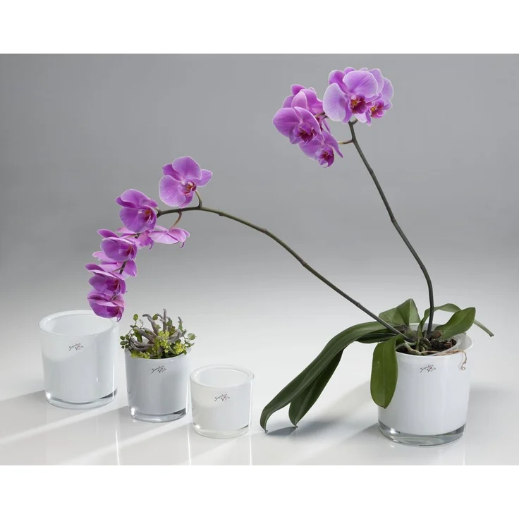 Sandra Rich Übertopf SANDRA RICH, Glasübertopf WEISS "cylindrical heavy Pot H 10cm/10cm" – Bild 2