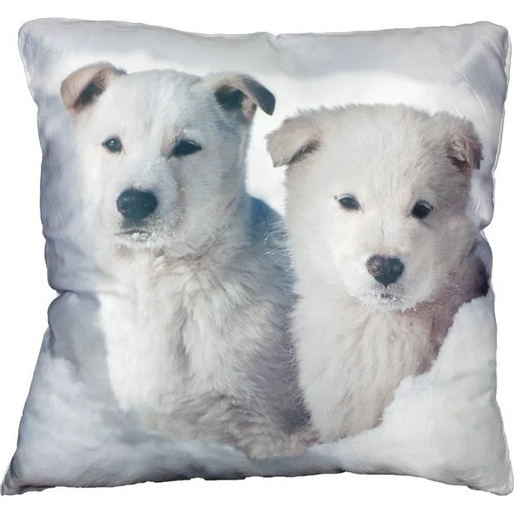 Couchkissen Dekokissen Motiv weißer Schäferhund Welpe 45x45cm Wintertiermotiv