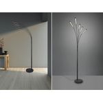 R41031532 Stehleuchte REED schwarz matt 4W LED, Höhe ca. 195 cm