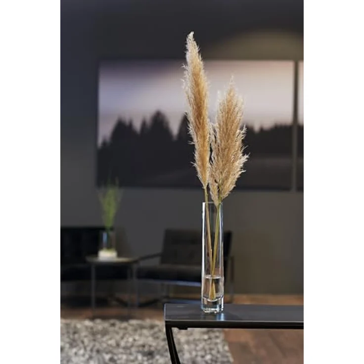 LEONARDO HOME Novara Deko-Vase, zylinderförmige Glasvase für Einzelblumen, Höhe 30 cm, Durchmesser 6,3 cm, transparentes Klarglas – Bild 5