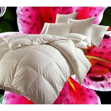 Bild für Betten Hofmann Canada Kassetten Daunenbett 4x6 135x200 1000 g Daunendecke 100% neue Daunen