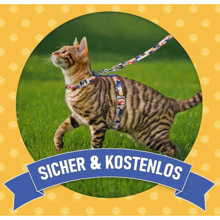 Katzen Geschirr Leine Ausbruchsicher Katzenweste verstellbar Blau M – Bild 7