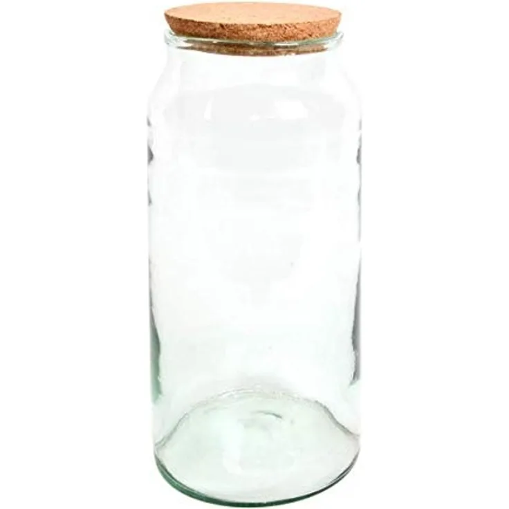 Pflanzen Terrarium aus Glas 10 L Deko Gewächshaus