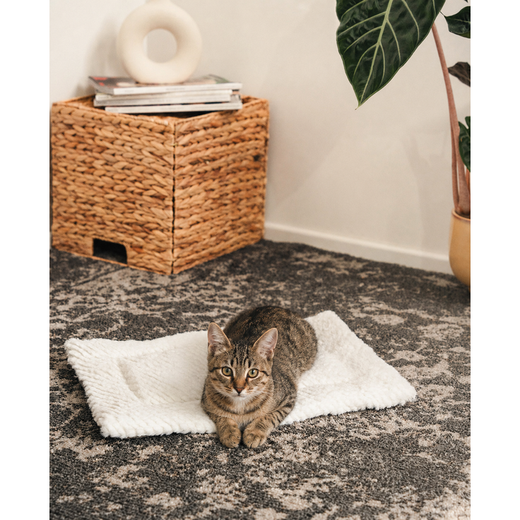lionto Katzen-Wendedecke, flauschige, wendbare Decke für Sofa, Körbchen & Fensterbrett, pflegeleicht & robust, 50x35 cm