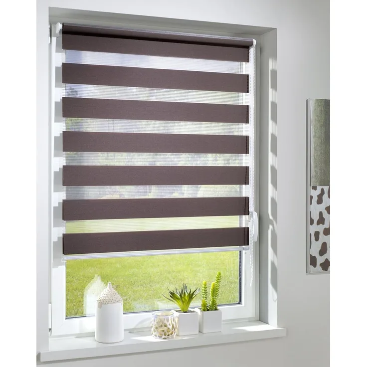 Doppelrollo Duo-Doppelrollo KLEMMFIX, DécoProfi, Lichtschutz, mit Bohren/ohne Bohren, Fenster- oder Wandmontage