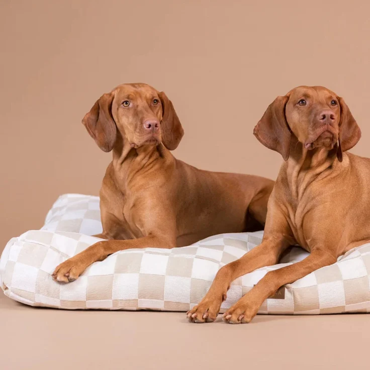 PAIKKA Hundematratze kariert beige, Maße: 85 cm x 55 cm – Bild 1