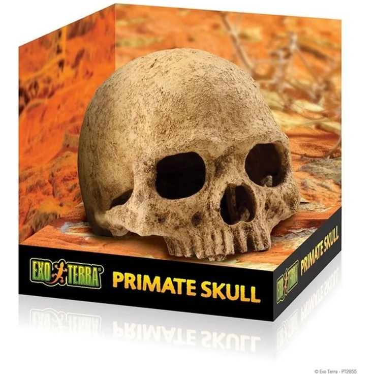 Exo Terra Terrariendeko Versteck Primate Skull – Bild 4