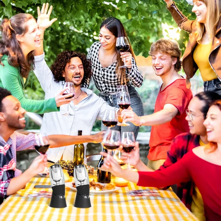 Todeco 2 Stück Weinbelüfter, Wein Dekanter mit Filtern, Tropfschutzständer, Samtbeutel, Weindekanter Dekantierer Rotwein Aerator Set Ausgießer für Weinliebhaber – Bild 2