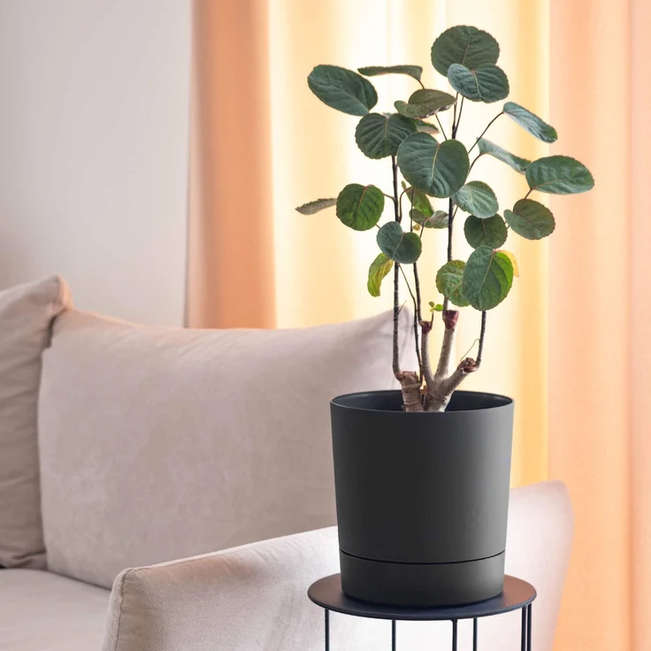 KADAX Blumentopf mit Ständer AURA 145 recycelt - schwarz 2er-Pack – Bild 6