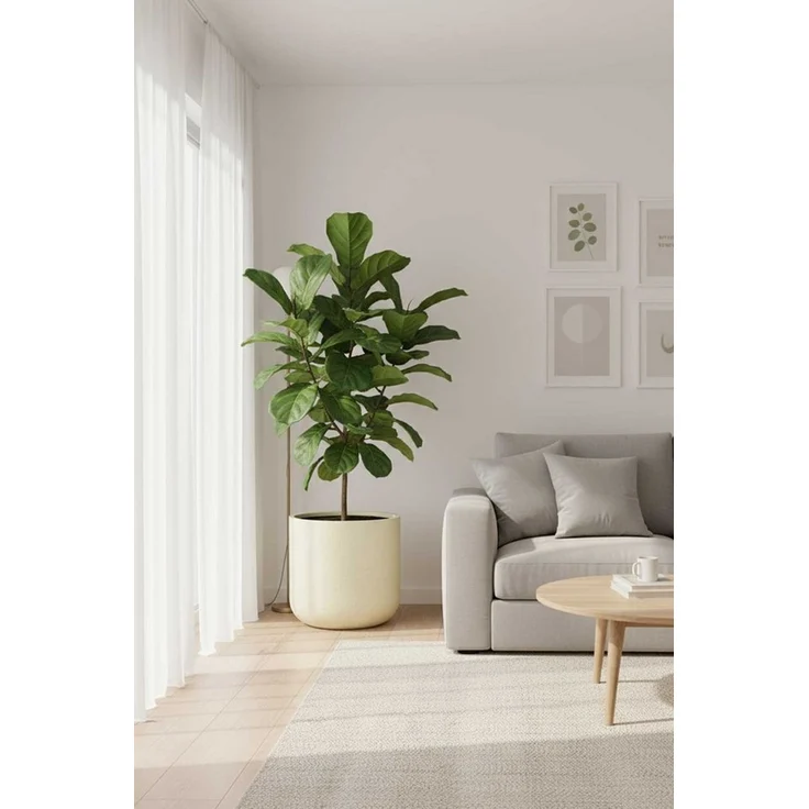 VIVANNO Blumentopf Fiberglas CHICO Rund - Vesuvbeige Matt (1 St), 40x40 cm – Bild 3