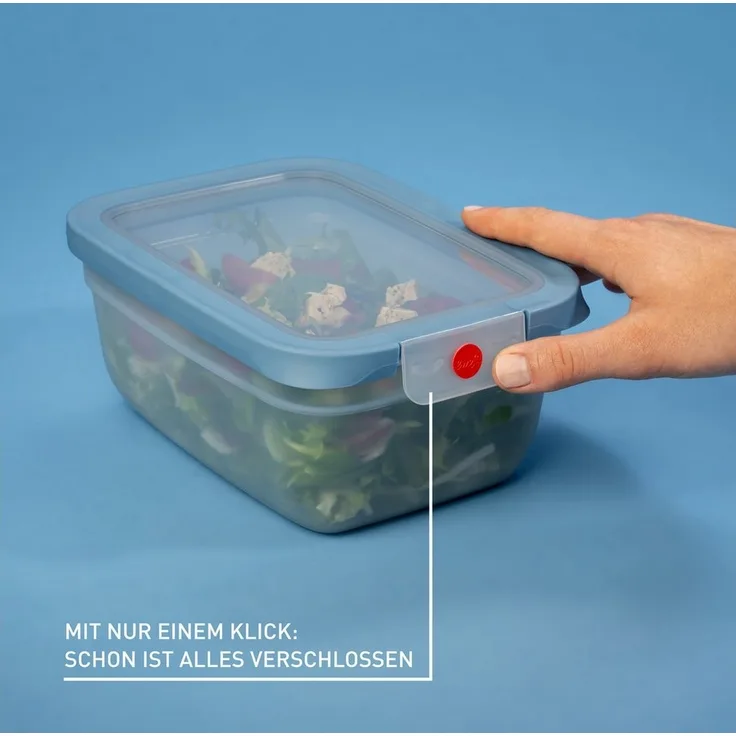 Emsa Frischhaltedose oneClick, Polyprophylen (PP), (1-tlg), verschlossen mit nur 1 x Klick, 100% dicht, made in Germany